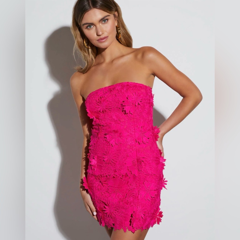 VICI Pink Embroidered Floral Strapless Mini Dress